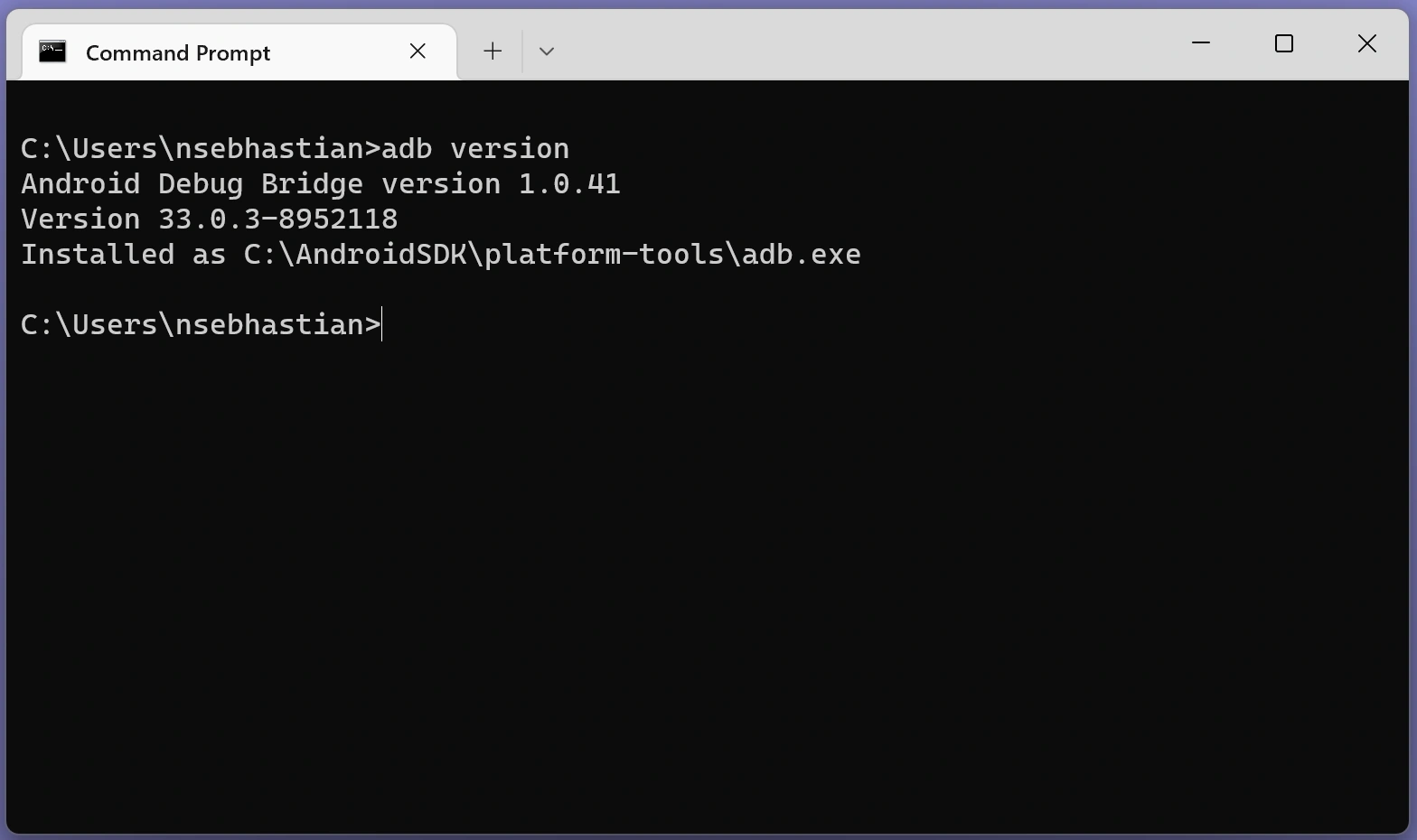 adb can be accessed adb can be accessed