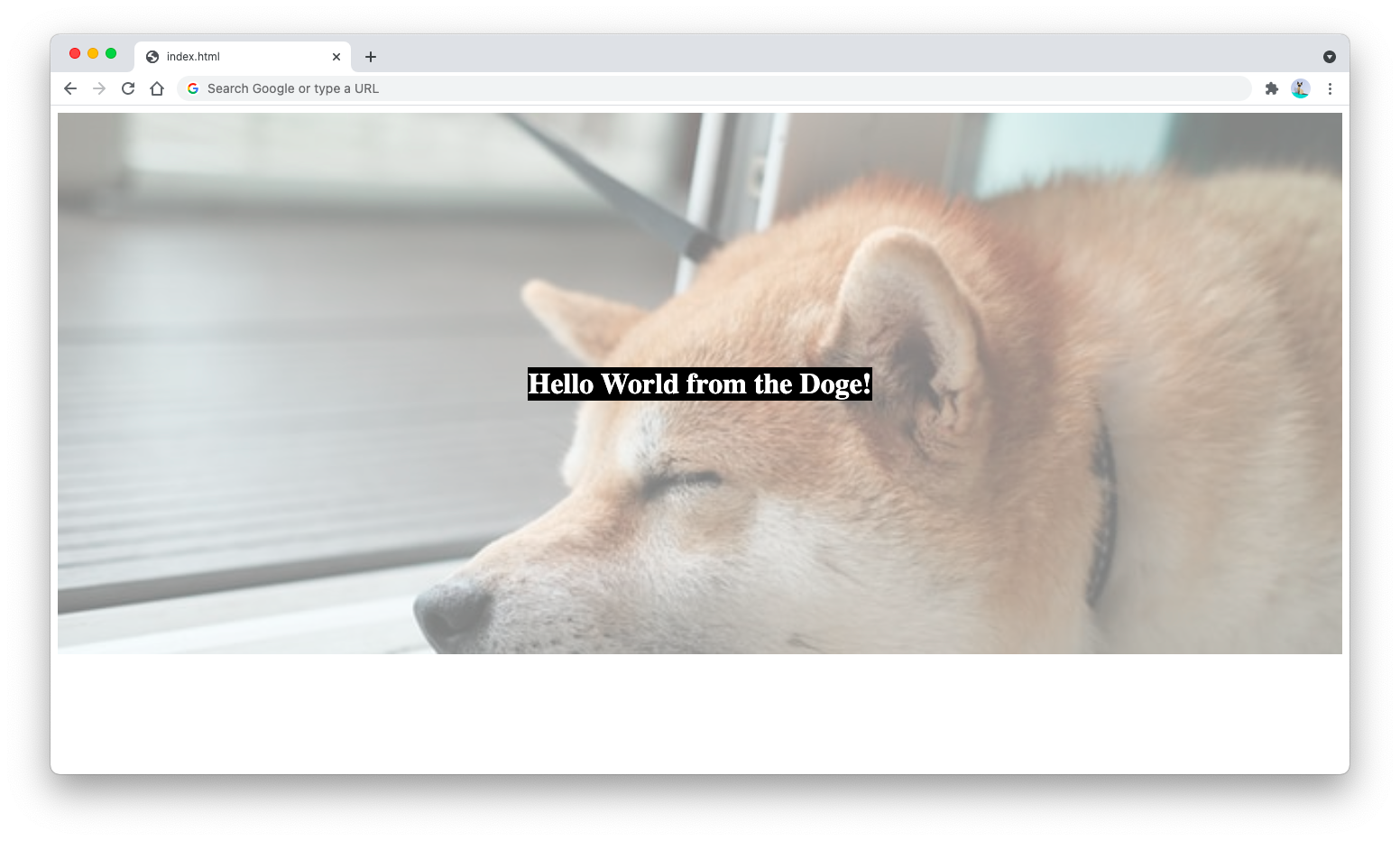 Background image opacity fixed using pseudo-element Background image opacity fixed using pseudo-element