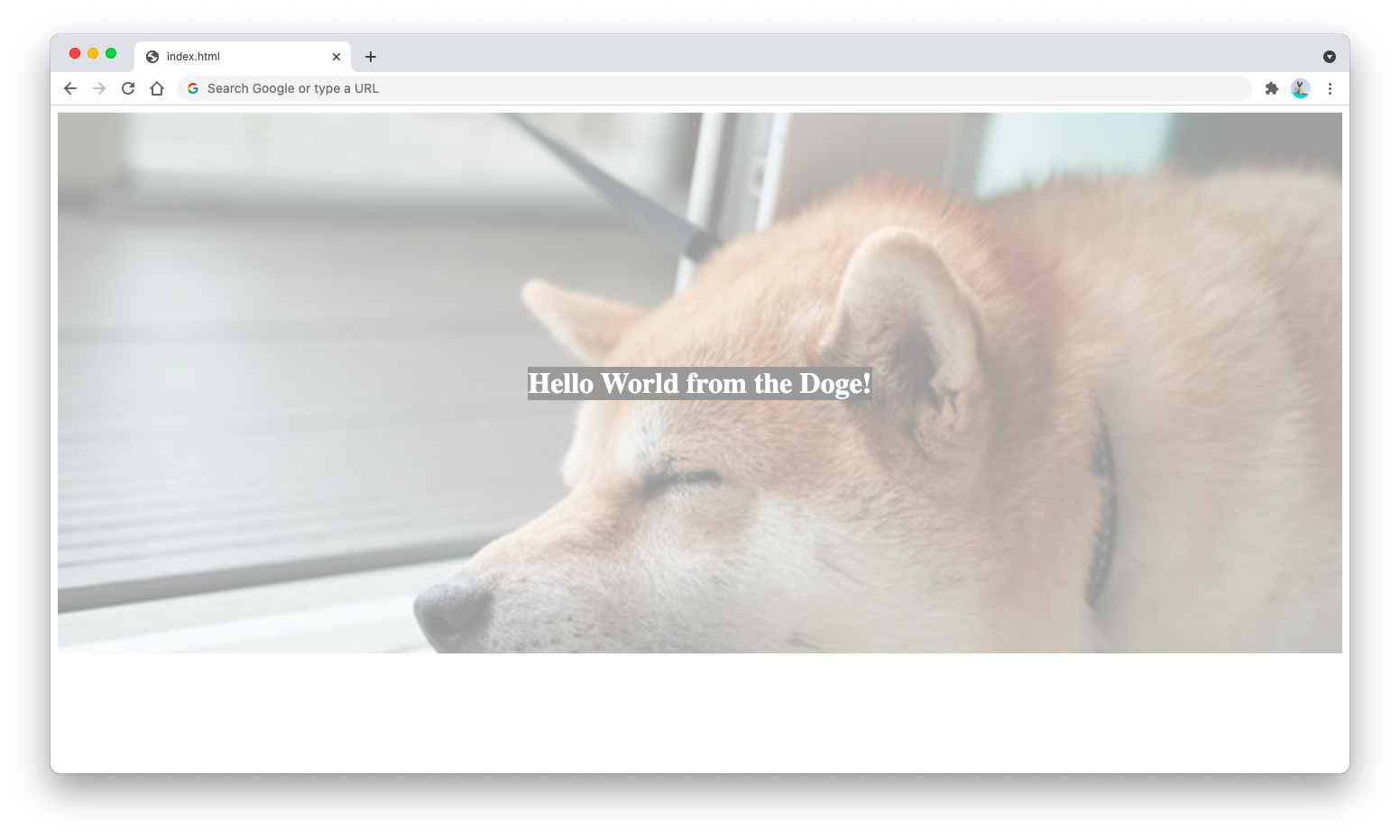 Background image with opacity Background image with opacity