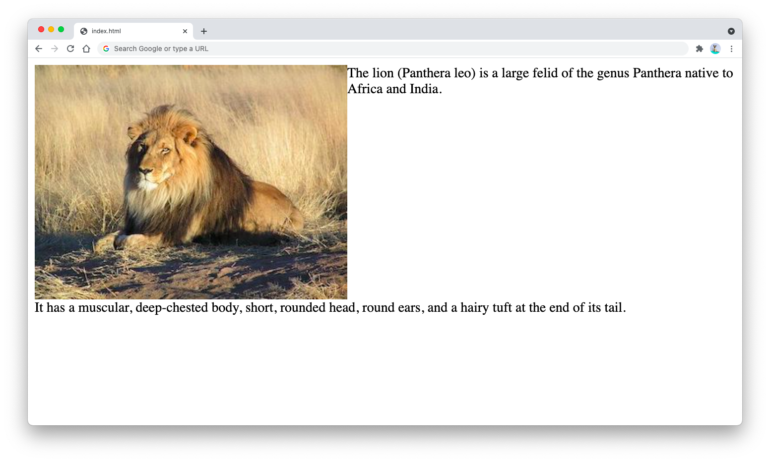 Using clear left to position the second paragraph below the image Using clear left to position the second paragraph below the image