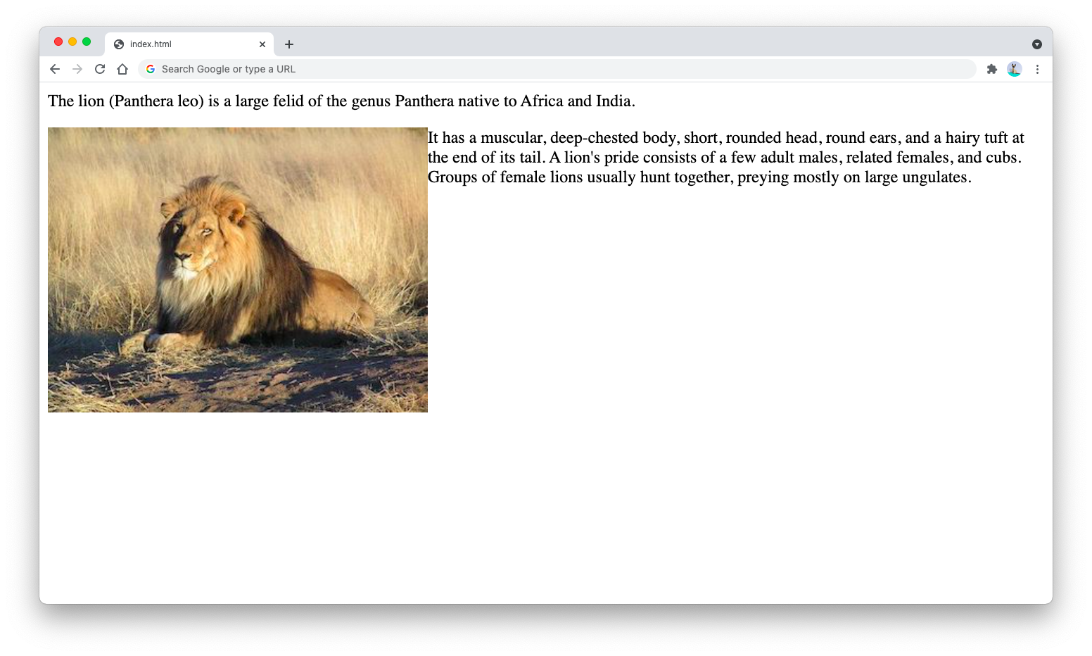 An image using float left property An image using float left property