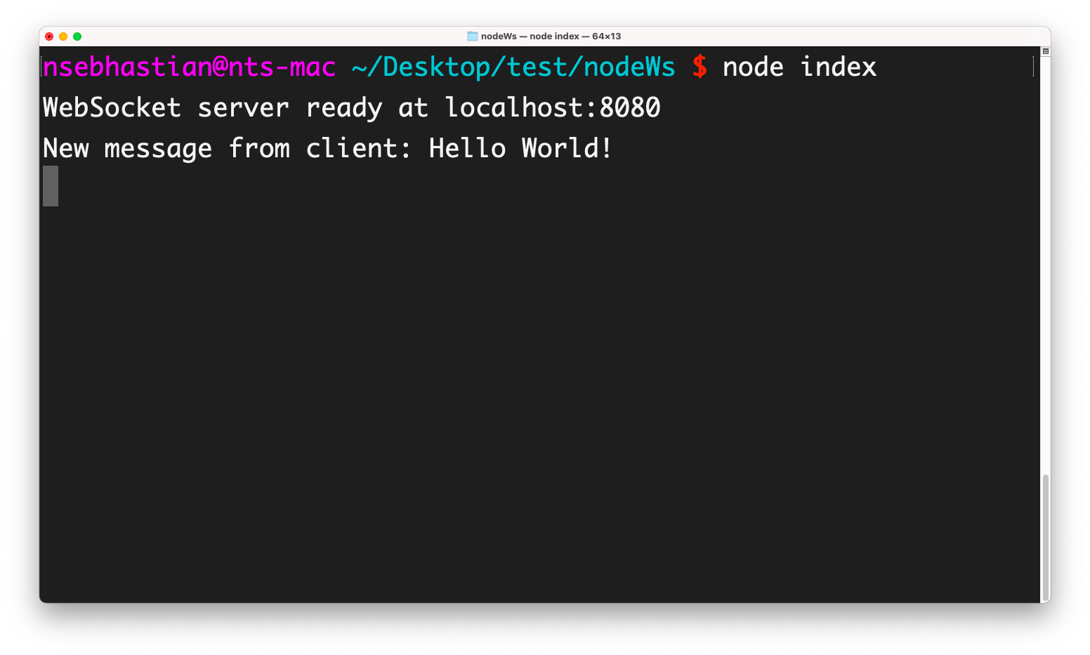 WebSocket NodeJS server output WebSocket NodeJS server output