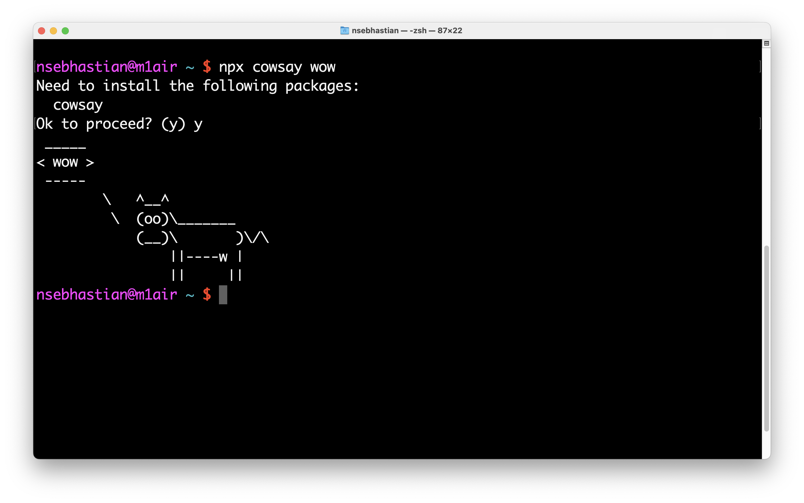 npx asks to install cowsay the first time npx asks to install cowsay the first time