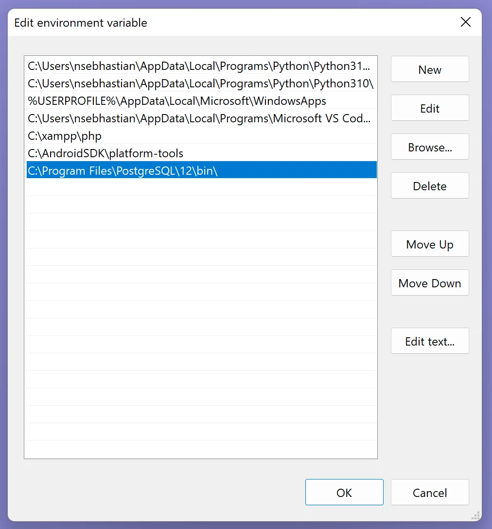 PostgreSQL path in Windows PostgreSQL path in Windows