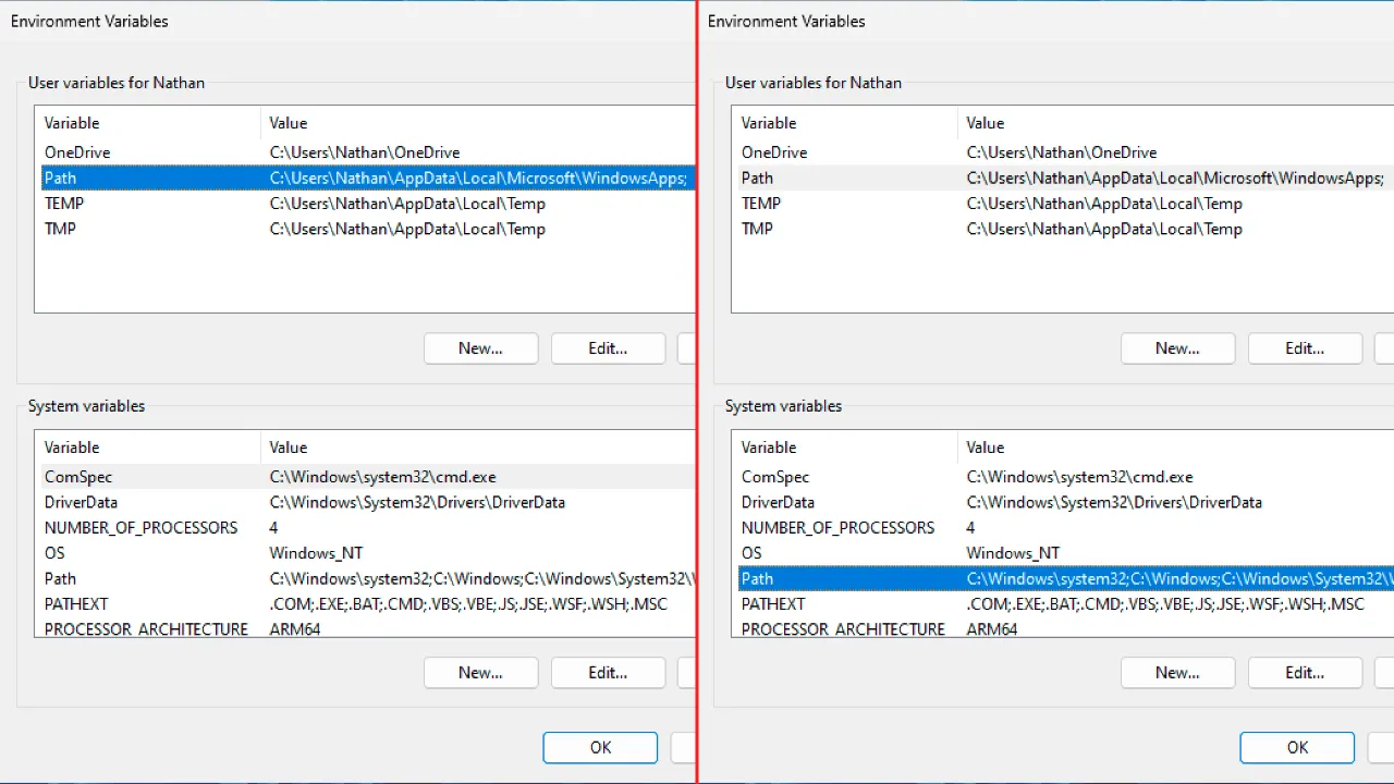 Path variables in User and System Path variables in User and System
